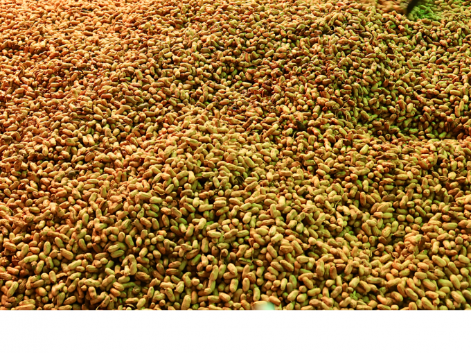 Worm Sting Red Earth QiNan Agarwood Joss Sticks 1.8mm*210mm/Pcs Relaxation Sleeping Aid 12